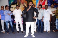 Rana Movie Audio Launch
